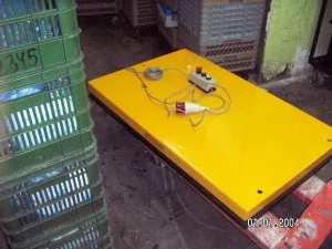 במת הרמה חשמלית נייחת 500 עד 3000 קג S103 3