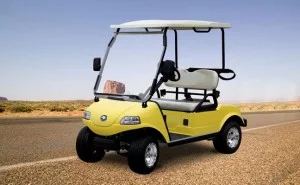 רכב תפעולי חשמלי גולף DEL3022G 2 1