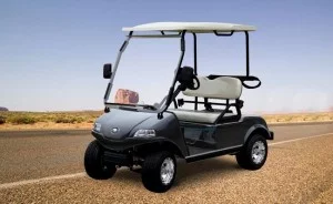 רכב תפעולי חשמלי גולף DEL3022G 2 2