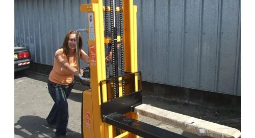 הספקת מלגזונים לחברה לספרים
