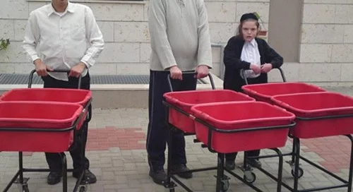הספקת עגלות מכלים למוסד DE